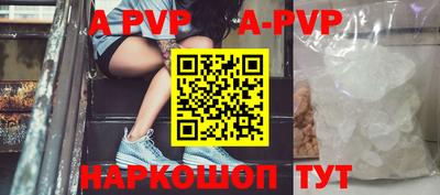 молекула духа Камень-на-Оби
