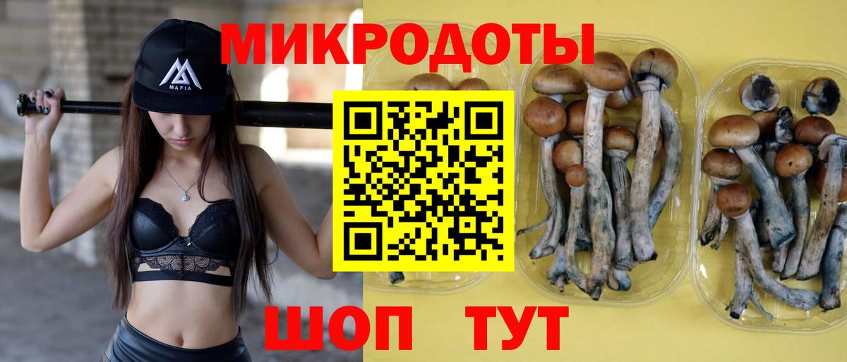 Добрянка  Псилоцибиновые грибы MAGIC MUSHROOMS  Вход с VPN  Псилоцибиновые грибы Magic Shrooms 